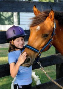 Prairie Fire Farms Horses